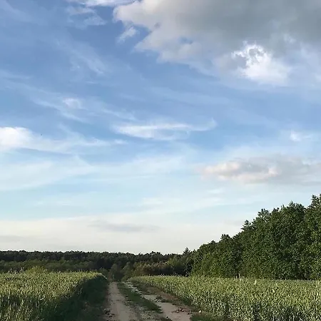 Siedlisko Barycz Kolonia, Dom Caloroczny Na Wylacznosc - 50 M2 6 Osobowy Z 2 Pokojami, Teren 2 Hektary Wsrod Lasow I Lak