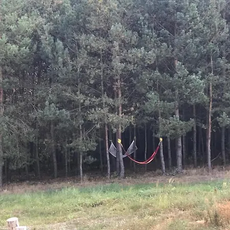 Siedlisko Barycz Kolonia, Dom Caloroczny Na Wylacznosc - 50 M2 6 Osobowy Z 2 Pokojami, Teren 2 Hektary Wsrod Lasow I Lak Lägenhet *