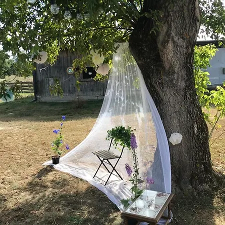 Siedlisko Barycz Kolonia, Dom Caloroczny Na Wylacznosc - 50 M2 6 Osobowy Z 2 Pokojami, Teren 2 Hektary Wsrod Lasow I Lak Zwolen (Zwolen)