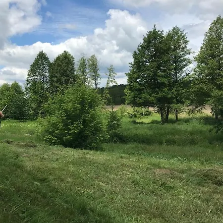 Siedlisko Barycz Kolonia, Dom Caloroczny Na Wylacznosc - 50 M2 6 Osobowy Z 2 Pokojami, Teren 2 Hektary Wsrod Lasow I Lak Zwolen (Zwolen)
