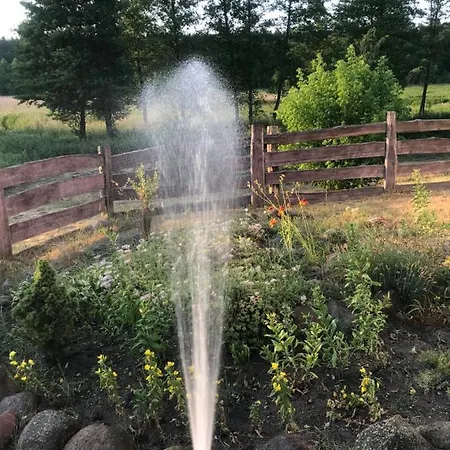 Siedlisko Barycz Kolonia, Dom Caloroczny Na Wylacznosc - 50 M2 6 Osobowy Z 2 Pokojami, Teren 2 Hektary Wsrod Lasow I Lak