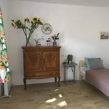 Lägenhet Siedlisko Barycz Kolonia, Dom Caloroczny Na Wylacznosc - 50 M2 6 Osobowy Z 2 Pokojami, Teren 2 Hektary Wsrod Lasow I Lak Zwolen (Zwolen)