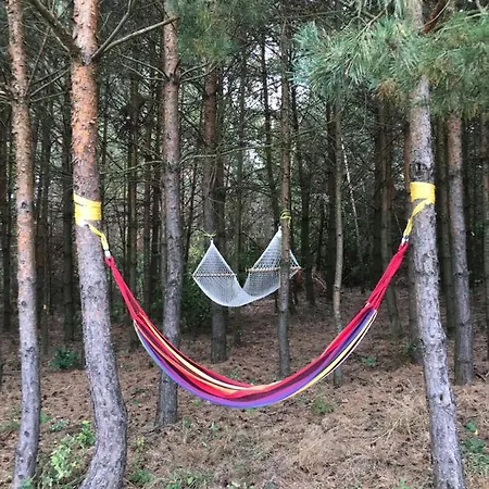 Siedlisko Barycz Kolonia, Dom Caloroczny Na Wylacznosc - 50 M2 6 Osobowy Z 2 Pokojami, Teren 2 Hektary Wsrod Lasow I Lak Zwolen (Zwolen)