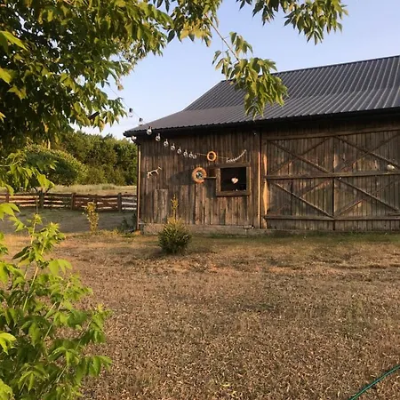 Lägenhet Siedlisko Barycz Kolonia, Dom Caloroczny Na Wylacznosc - 50 M2 6 Osobowy Z 2 Pokojami, Teren 2 Hektary Wsrod Lasow I Lak *