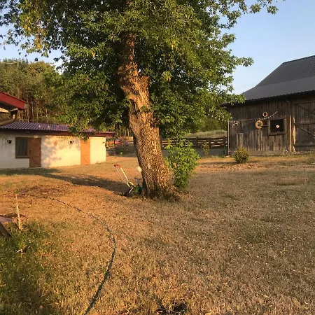 Siedlisko Barycz Kolonia, Dom Caloroczny Na Wylacznosc - 50 M2 6 Osobowy Z 2 Pokojami, Teren 2 Hektary Wsrod Lasow I Lak Lägenhet Zwolen (Zwolen)