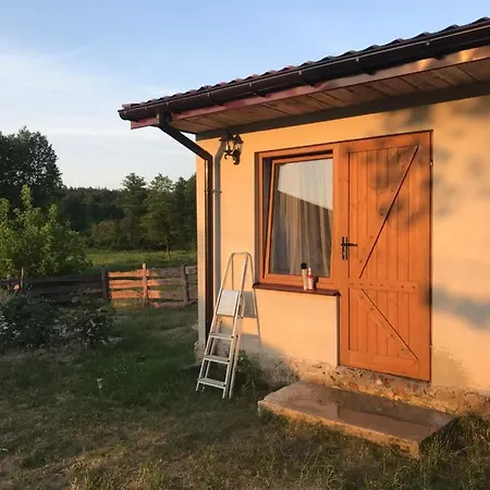 Lägenhet Siedlisko Barycz Kolonia, Dom Caloroczny Na Wylacznosc - 50 M2 6 Osobowy Z 2 Pokojami, Teren 2 Hektary Wsrod Lasow I Lak Zwolen (Zwolen)