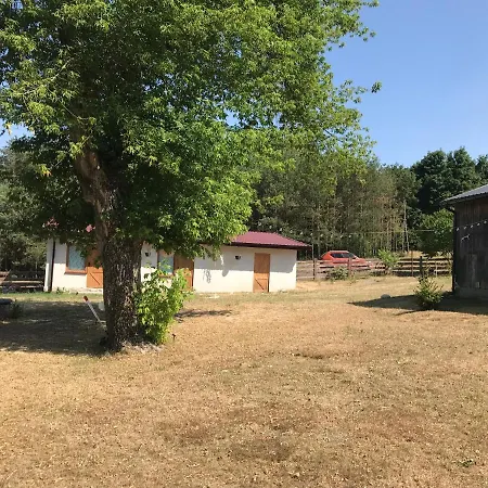 Lägenhet Siedlisko Barycz Kolonia, Dom Caloroczny Na Wylacznosc - 50 M2 6 Osobowy Z 2 Pokojami, Teren 2 Hektary Wsrod Lasow I Lak *