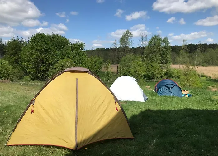아파트 Siedlisko Barycz Kolonia, Dom Caloroczny Na Wylacznosc - 50 M2 6 Osobowy Z 2 Pokojami, Teren 2 Hektary Wsrod Lasow I Lak Zwolen (Zwolen)