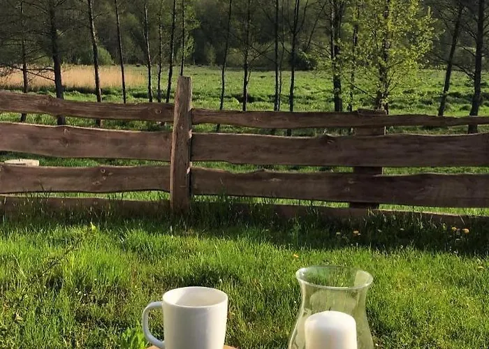 דירה Siedlisko Barycz Kolonia, Dom Caloroczny Na Wylacznosc - 50 M2 6 Osobowy Z 2 Pokojami, Teren 2 Hektary Wsrod Lasow I Lak *