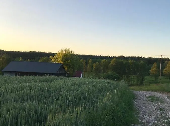 Siedlisko Barycz Kolonia, Dom Caloroczny Na Wylacznosc - 50 M2 6 Osobowy Z 2 Pokojami, Teren 2 Hektary Wsrod Lasow I Lak דירה Zwolen (Zwolen)