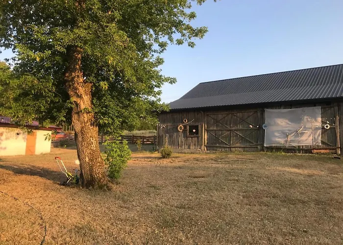 아파트 Siedlisko Barycz Kolonia, Dom Caloroczny Na Wylacznosc - 50 M2 6 Osobowy Z 2 Pokojami, Teren 2 Hektary Wsrod Lasow I Lak *