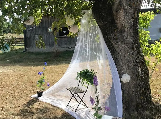 Siedlisko Barycz Kolonia, Dom Caloroczny Na Wylacznosc - 50 M2 6 Osobowy Z 2 Pokojami, Teren 2 Hektary Wsrod Lasow I Lak Zwolen (Zwolen)