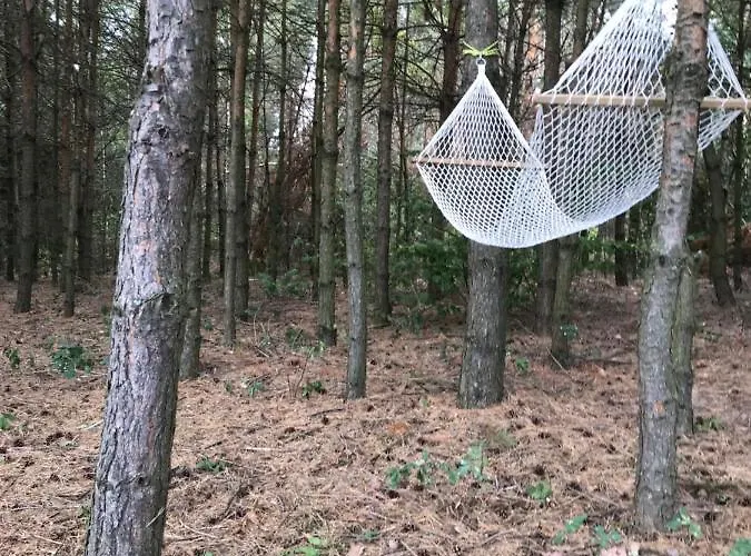 Siedlisko Barycz Kolonia, Dom Caloroczny Na Wylacznosc - 50 M2 6 Osobowy Z 2 Pokojami, Teren 2 Hektary Wsrod Lasow I Lak דירה