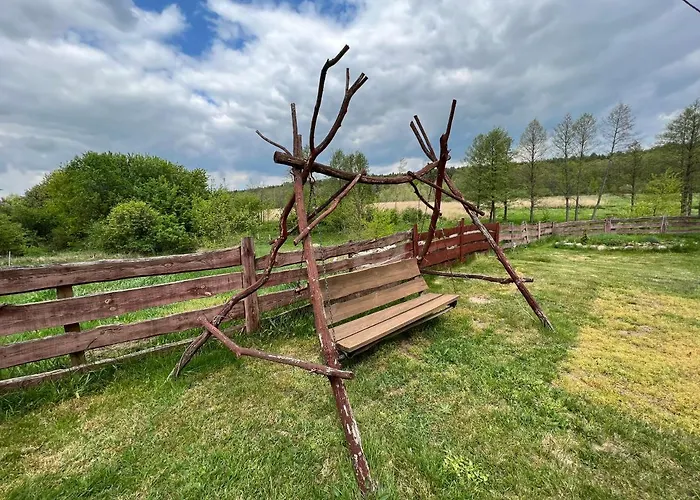 Siedlisko Barycz Kolonia, Dom Caloroczny Na Wylacznosc - 50 M2 6 Osobowy Z 2 Pokojami, Teren 2 Hektary Wsrod Lasow I Lak Zwolen (Zwolen)