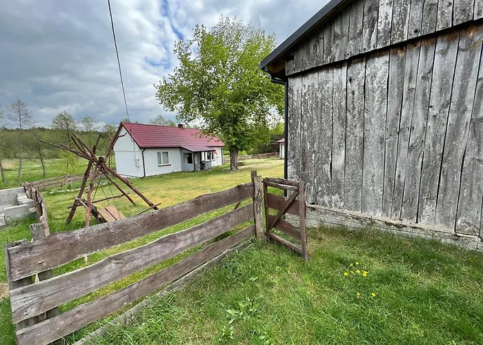 아파트 Siedlisko Barycz Kolonia, Dom Caloroczny Na Wylacznosc - 50 M2 6 Osobowy Z 2 Pokojami, Teren 2 Hektary Wsrod Lasow I Lak