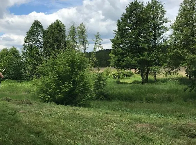 Siedlisko Barycz Kolonia, Dom Caloroczny Na Wylacznosc - 50 M2 6 Osobowy Z 2 Pokojami, Teren 2 Hektary Wsrod Lasow I Lak Zwolen (Zwolen)