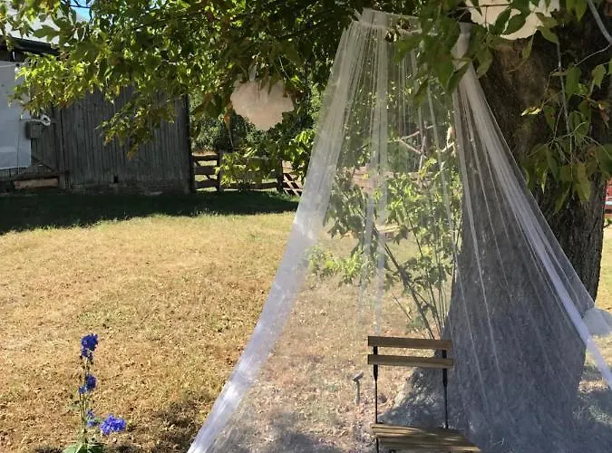 Siedlisko Barycz Kolonia, Dom Caloroczny Na Wylacznosc - 50 M2 6 Osobowy Z 2 Pokojami, Teren 2 Hektary Wsrod Lasow I Lak דירה Zwolen (Zwolen)