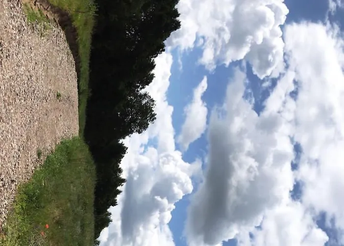 Siedlisko Barycz Kolonia, Dom Caloroczny Na Wylacznosc - 50 M2 6 Osobowy Z 2 Pokojami, Teren 2 Hektary Wsrod Lasow I Lak דירה *