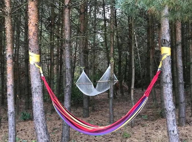 Siedlisko Barycz Kolonia, Dom Caloroczny Na Wylacznosc - 50 M2 6 Osobowy Z 2 Pokojami, Teren 2 Hektary Wsrod Lasow I Lak Zwolen (Zwolen)