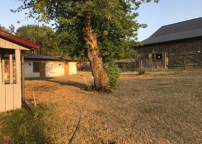 Siedlisko Barycz Kolonia, Dom Caloroczny Na Wylacznosc - 50 M2 6 Osobowy Z 2 Pokojami, Teren 2 Hektary Wsrod Lasow I Lak 아파트 Zwolen (Zwolen)