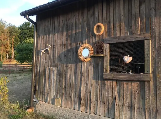 Siedlisko Barycz Kolonia, Dom Caloroczny Na Wylacznosc - 50 M2 6 Osobowy Z 2 Pokojami, Teren 2 Hektary Wsrod Lasow I Lak * Zwolen (Zwolen)