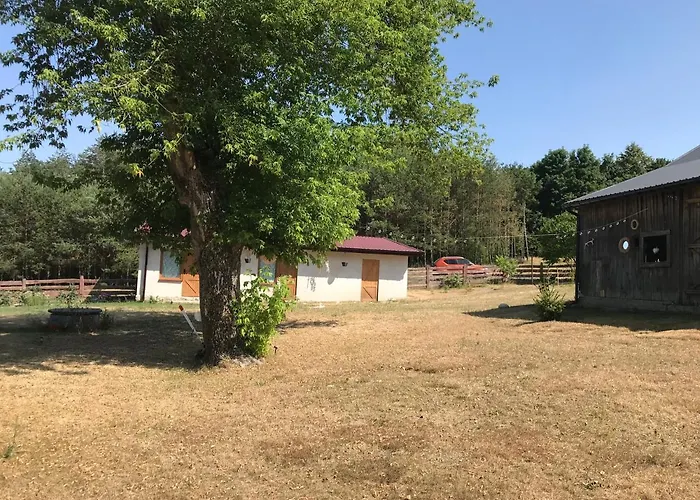 דירה Siedlisko Barycz Kolonia, Dom Caloroczny Na Wylacznosc - 50 M2 6 Osobowy Z 2 Pokojami, Teren 2 Hektary Wsrod Lasow I Lak *